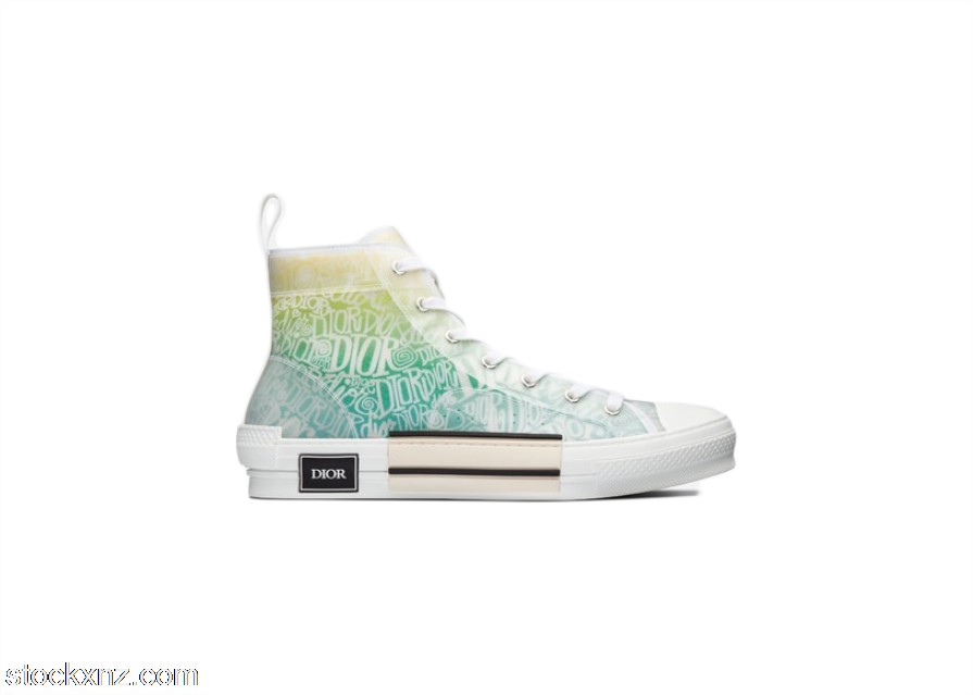 Dior And Shawn B23 High Top 3SH118YYL_H661 ASH