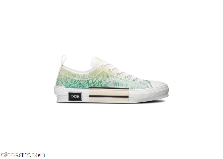 Dior And Shawn B23 Low Top 3SN249YYL_H661 ASH