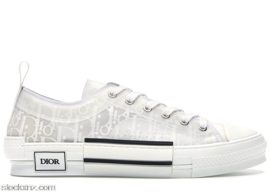 Dior B23 Low Top Oblique 3SN249YNT_H060 ASH