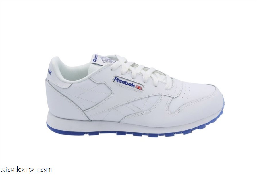 Reebok CL Leather Ice White Royal (GS) CN7334 ASH